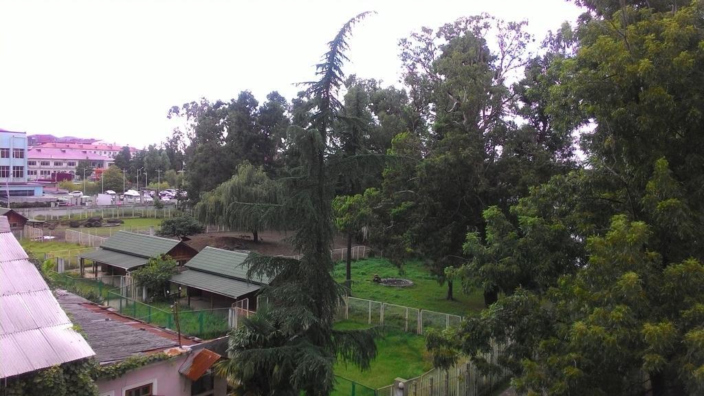 Apartament Gia Батуми Экстерьер фото